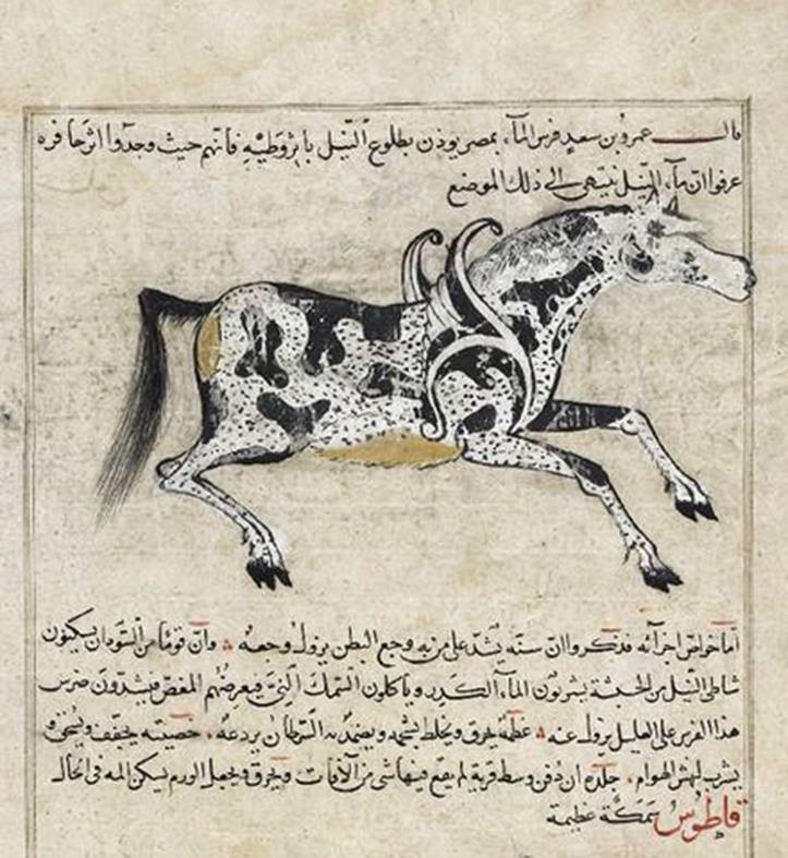 Muhammad al-Qazvini’ye ait bir minyatür. Üzerinde “Sudan çıkan aygır” yazılı 15. yüzyıl. Türklerin Kanatlı Alaca At söylencesi ile örtüşen bir minyatür.