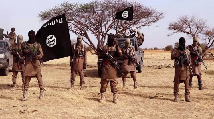 Afrika’nın Hücrelerini Saran Terör: Boko Haram
