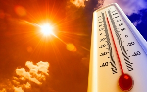 &#039;Sıcaklıkların 4-5 derece artması dünya savaşına yol açabilir&#039;